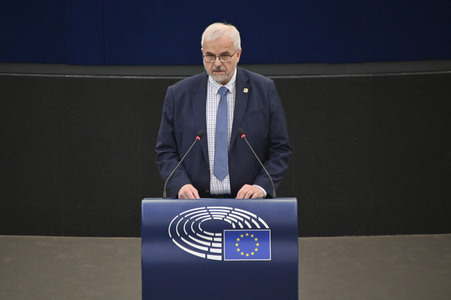 Plenartagung über den Digital Services Act im EU-Parlament in Straßburg