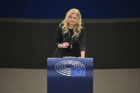 Plenartagung über den Digital Services Act im EU-Parlament in Straßburg