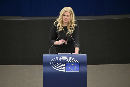 Plenartagung über den Digital Services Act im EU-Parlament in Straßburg
