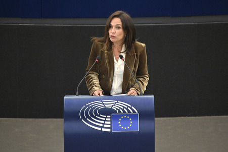 Plenartagung über den Digital Services Act im EU-Parlament in Straßburg