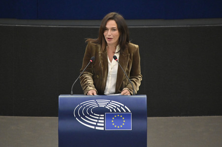 Plenartagung über den Digital Services Act im EU-Parlament in Straßburg