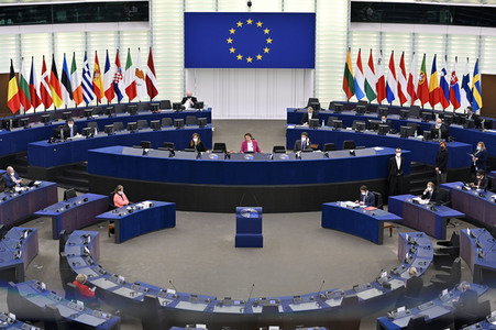 Plenartagung über sexuelle und reproduktive Gesundheit im EU-Parlament in Straßburg