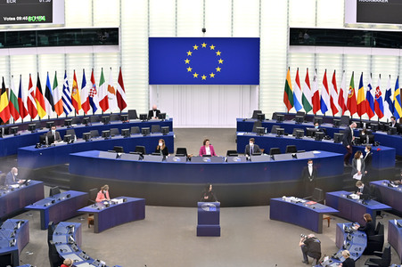 Plenartagung über sexuelle und reproduktive Gesundheit im EU-Parlament in Straßburg