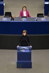 Plenartagung über sexuelle und reproduktive Gesundheit im EU-Parlament in Straßburg