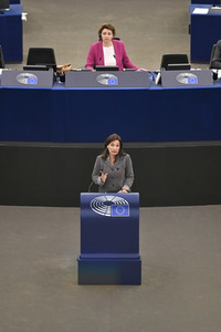 Plenartagung über sexuelle und reproduktive Gesundheit im EU-Parlament in Straßburg