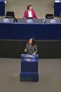 Plenartagung über sexuelle und reproduktive Gesundheit im EU-Parlament in Straßburg