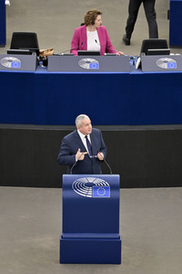 Plenartagung über Tiertransporte im EU-Parlament in Straßburg