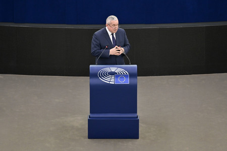 Plenartagung über Tiertransporte im EU-Parlament in Straßburg