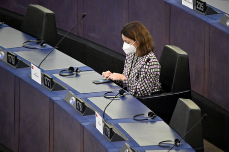 Plenartagung über Tiertransporte im EU-Parlament in Straßburg