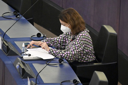 Plenartagung über Tiertransporte im EU-Parlament in Straßburg