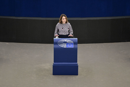 Plenartagung über Tiertransporte im EU-Parlament in Straßburg