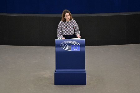 Plenartagung über Tiertransporte im EU-Parlament in Straßburg