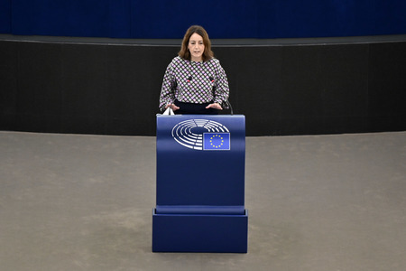 Plenartagung über Tiertransporte im EU-Parlament in Straßburg