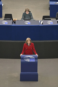 Plenartagung über Tiertransporte im EU-Parlament in Straßburg