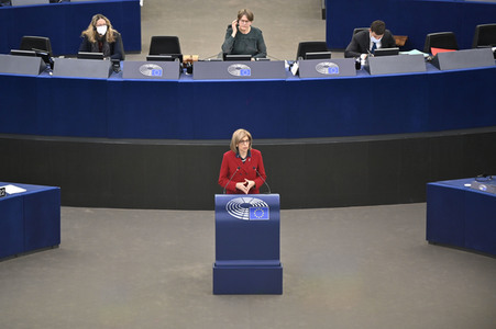Plenartagung über Tiertransporte im EU-Parlament in Straßburg