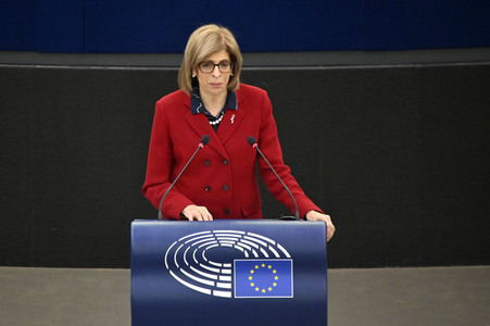 Plenartagung über Tiertransporte im EU-Parlament in Straßburg