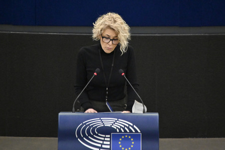 Plenartagung über Tiertransporte im EU-Parlament in Straßburg