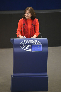 Plenartagung über Tiertransporte im EU-Parlament in Straßburg