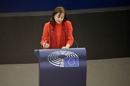 Plenartagung über Tiertransporte im EU-Parlament in Straßburg