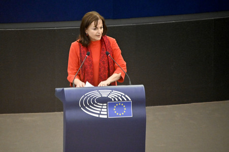 Plenartagung über Tiertransporte im EU-Parlament in Straßburg