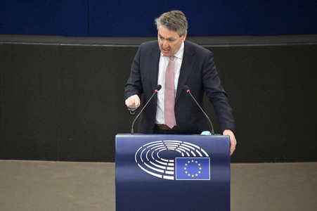 Plenartagung über Tiertransporte im EU-Parlament in Straßburg