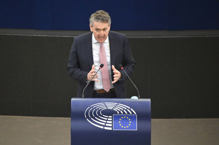 Plenartagung über Tiertransporte im EU-Parlament in Straßburg