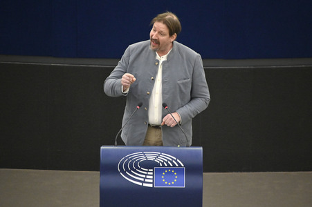 Plenartagung über Tiertransporte im EU-Parlament in Straßburg