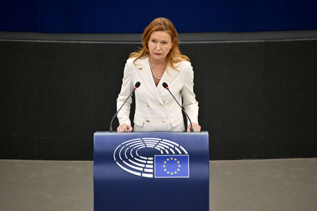 Plenartagung über Tiertransporte im EU-Parlament in Straßburg