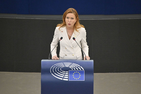 Plenartagung über Tiertransporte im EU-Parlament in Straßburg