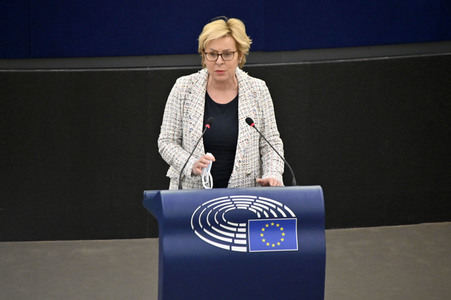 Plenartagung über Tiertransporte im EU-Parlament in Straßburg