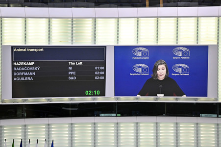 Plenartagung über Tiertransporte im EU-Parlament in Straßburg