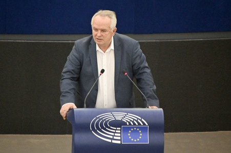 Plenartagung über Tiertransporte im EU-Parlament in Straßburg