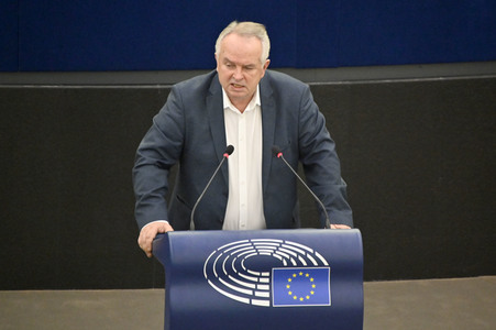 Plenartagung über Tiertransporte im EU-Parlament in Straßburg