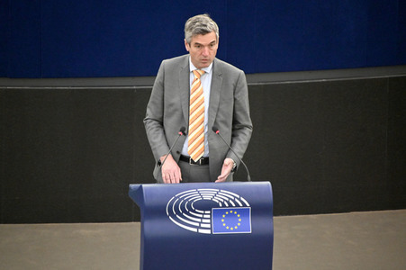 Plenartagung über Tiertransporte im EU-Parlament in Straßburg