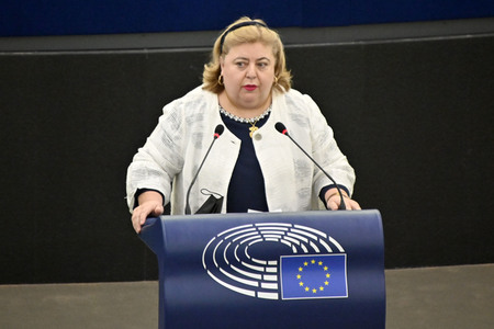 Plenartagung über Tiertransporte im EU-Parlament in Straßburg