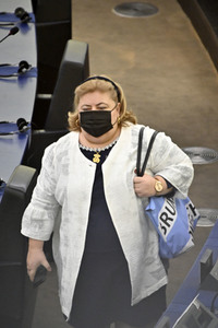 Plenartagung über Tiertransporte im EU-Parlament in Straßburg