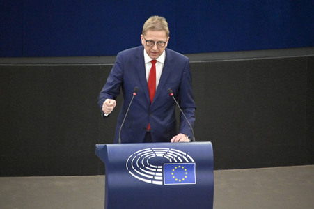 Plenartagung über Tiertransporte im EU-Parlament in Straßburg