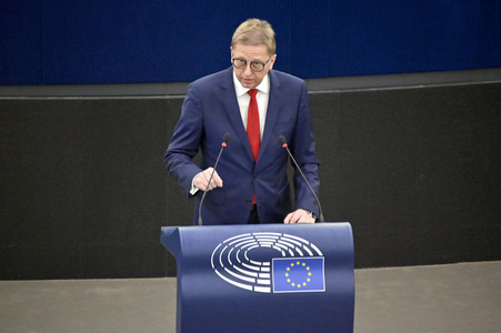 Plenartagung über Tiertransporte im EU-Parlament in Straßburg