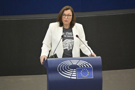 Plenartagung über Tiertransporte im EU-Parlament in Straßburg