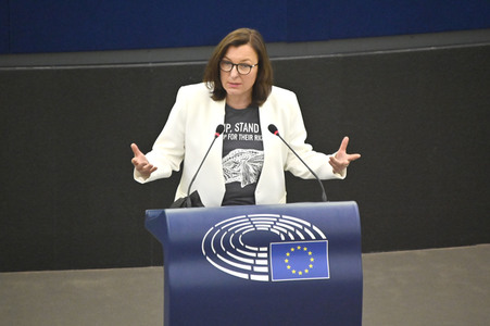 Plenartagung über Tiertransporte im EU-Parlament in Straßburg