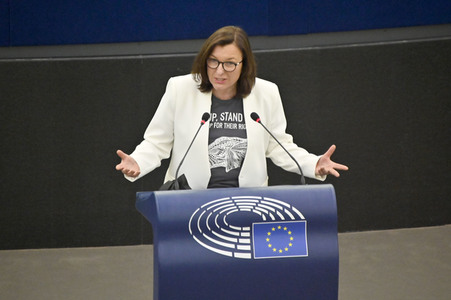 Plenartagung über Tiertransporte im EU-Parlament in Straßburg