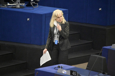 Plenartagung über Tiertransporte im EU-Parlament in Straßburg