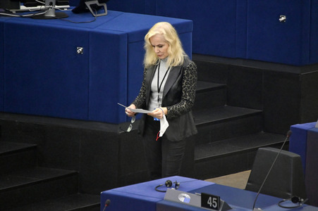 Plenartagung über Tiertransporte im EU-Parlament in Straßburg