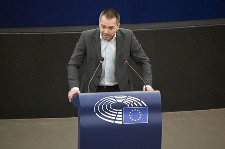 Plenartagung über Tiertransporte im EU-Parlament in Straßburg