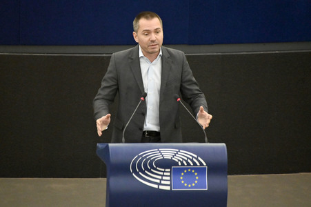 Plenartagung über Tiertransporte im EU-Parlament in Straßburg