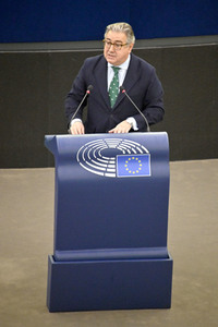 Plenartagung über Tiertransporte im EU-Parlament in Straßburg