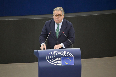 Plenartagung über Tiertransporte im EU-Parlament in Straßburg