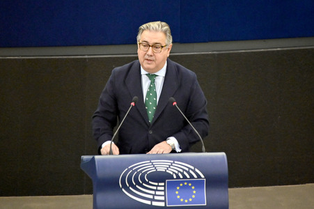 Plenartagung über Tiertransporte im EU-Parlament in Straßburg