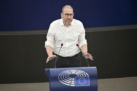 Plenartagung über Tiertransporte im EU-Parlament in Straßburg