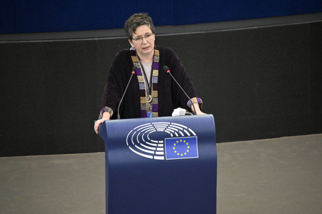 Plenartagung über Tiertransporte im EU-Parlament in Straßburg